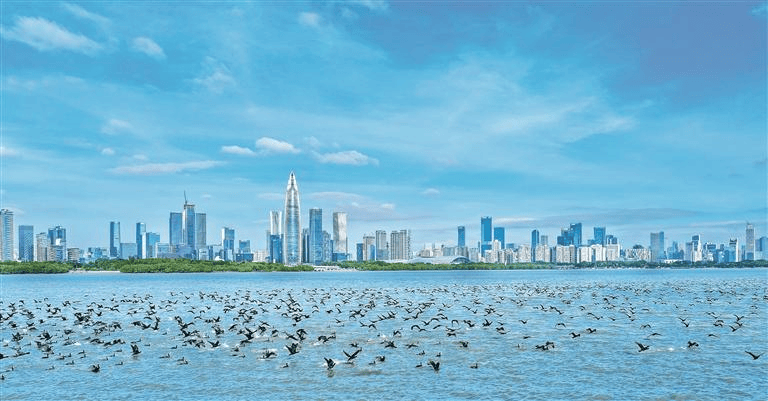 点｜明起深圳天气大反转CQ9电子版入口深新早